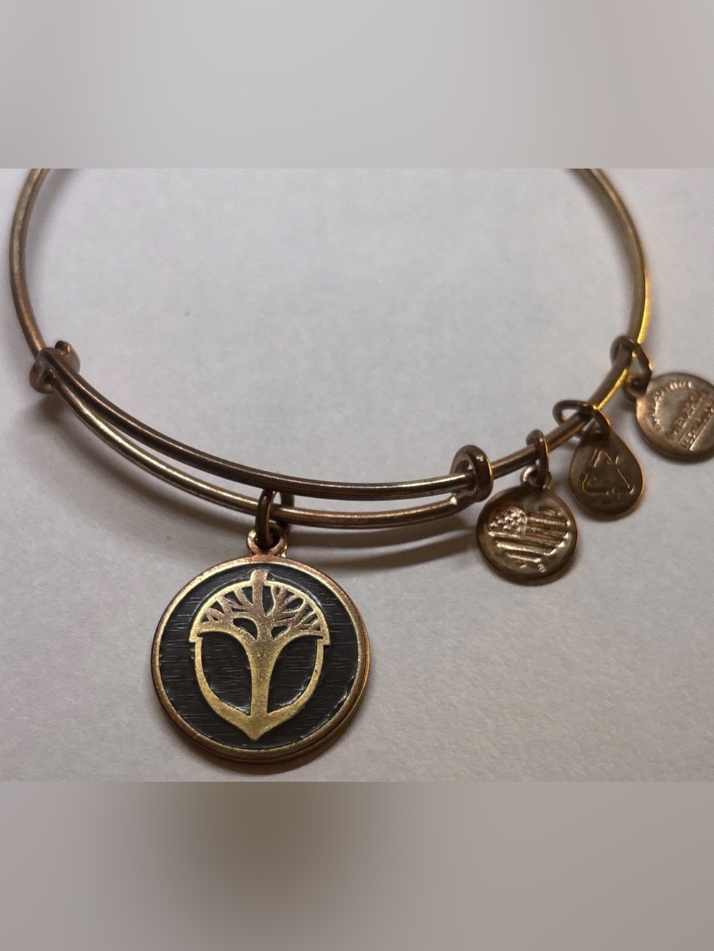 Alex and Ani‎ *RETIRED* Unexpected Miracles Rose Gold Bracelet